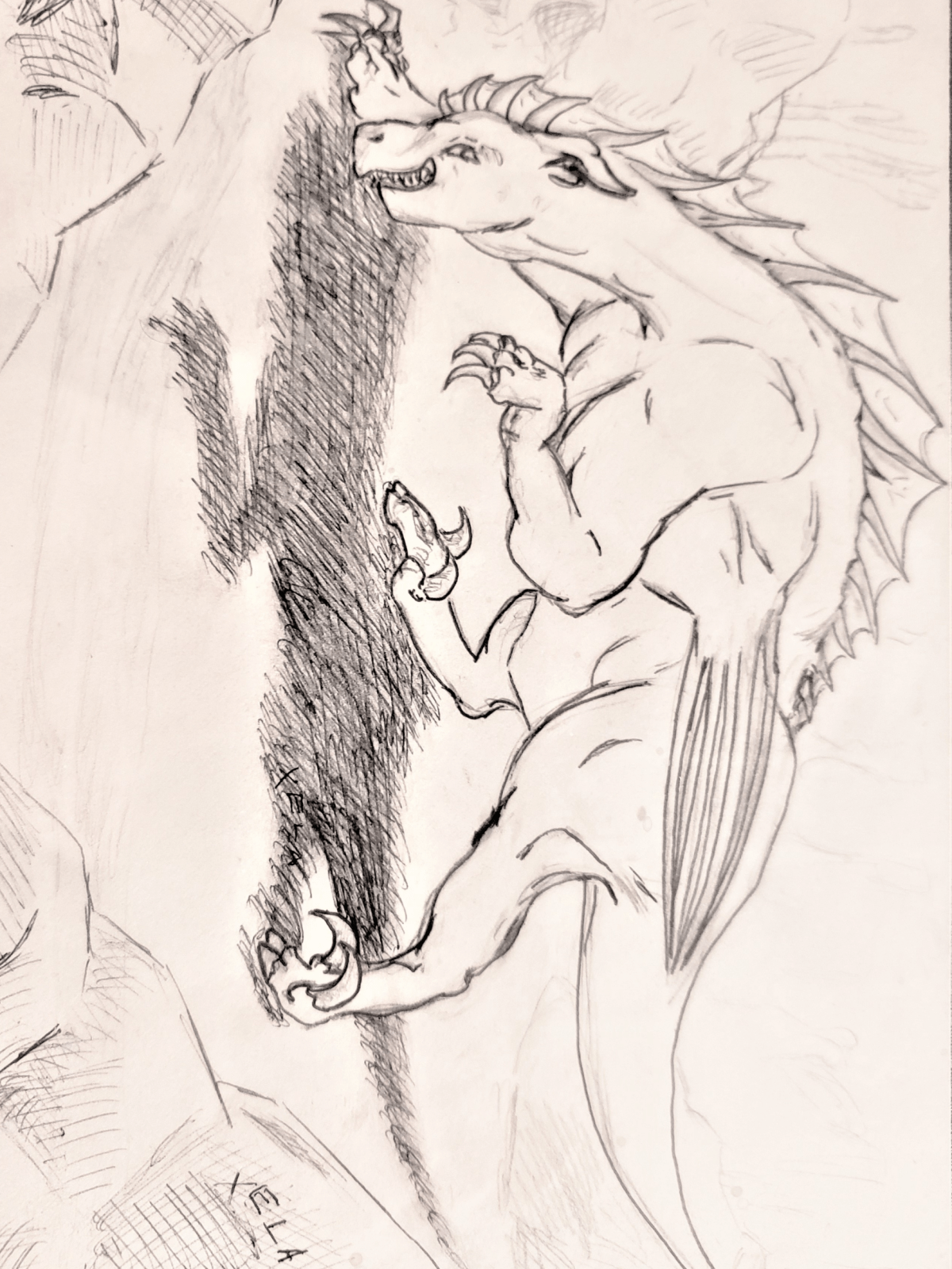 Printable: Dragon Coloring Bundle - Death World LLC - 