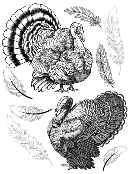 Printable: Thanksgiving Activity Pages - Death World LLC - 